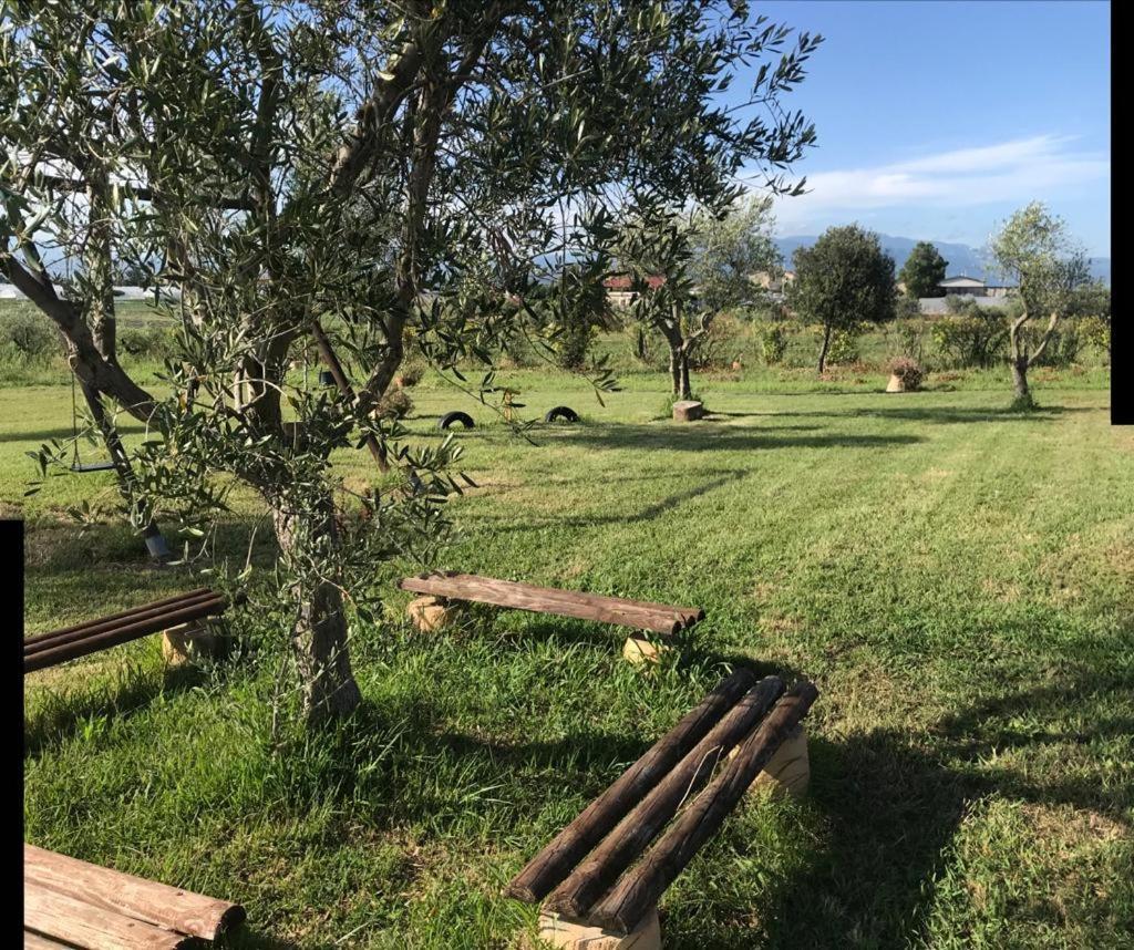 הוילה Foce del Sele Agriturismo Il Borghetto מראה חיצוני תמונה