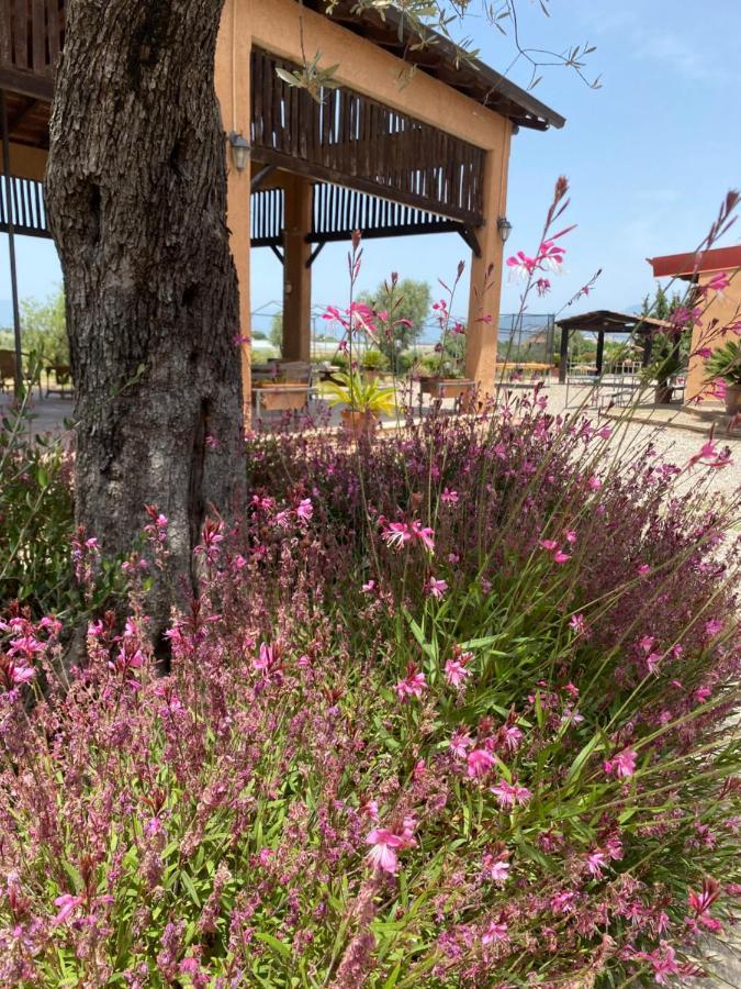 הוילה Foce del Sele Agriturismo Il Borghetto מראה חיצוני תמונה